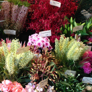 Featured Client: Jodie McGregor Flowers, Annandale NSW