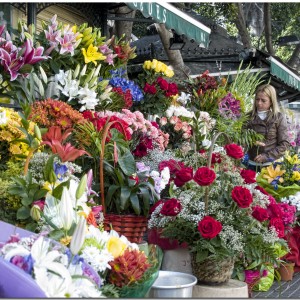 The Art Of Delivering Flowers