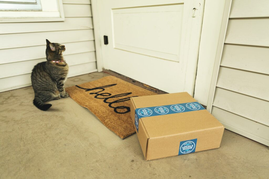 package and cat on doorstep